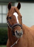 Affirmed