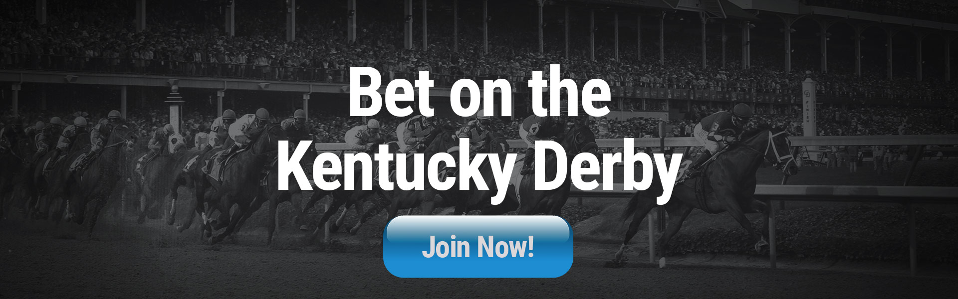 Kentucky Derby Contenders 2024 Go Horse Betting