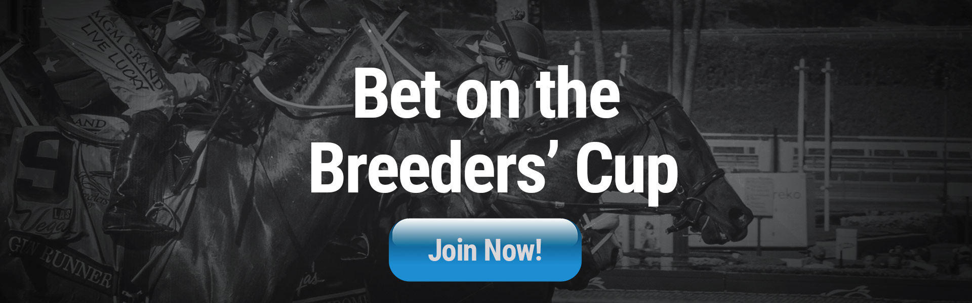 Bet the Breeders Cup